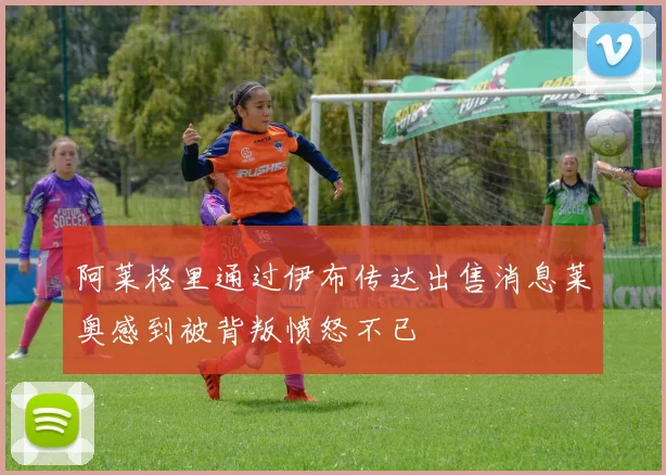 阿莱格里通过伊布传达出售消息莱奥感到被背叛愤怒不已