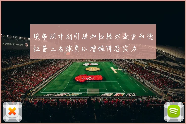 埃弗顿计划引进加拉格尔麦金和德拉普三名球员以增强阵容实力